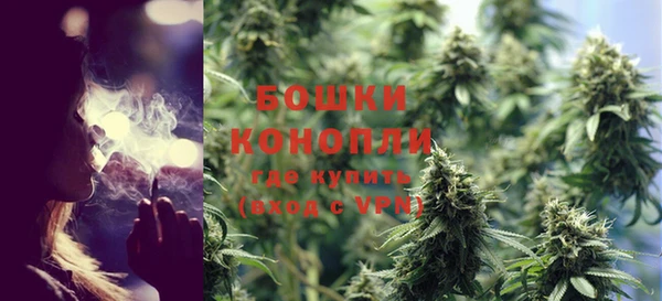 крисы Пересвет