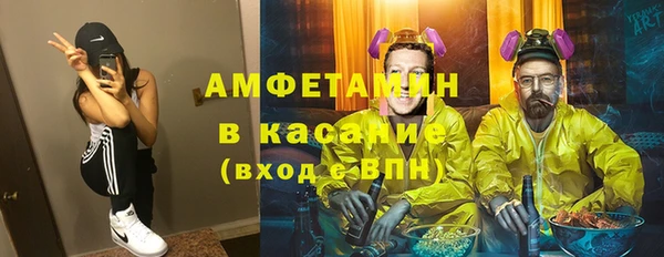 spice Болотное