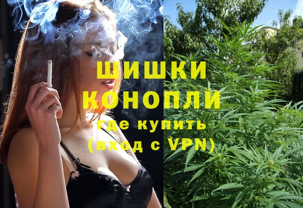 крисы Пересвет