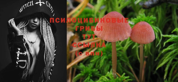 крисы Пересвет