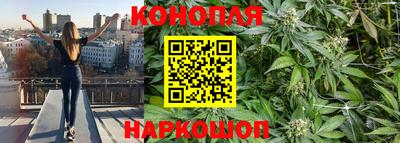 гашик Канаш