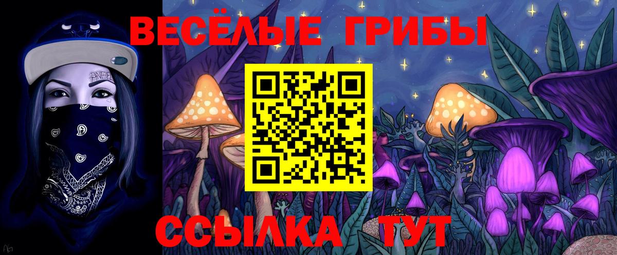 Псилоцибиновые грибы MAGIC MUSHROOMS Реутов